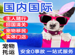 包头东河国际宠物托运 【国